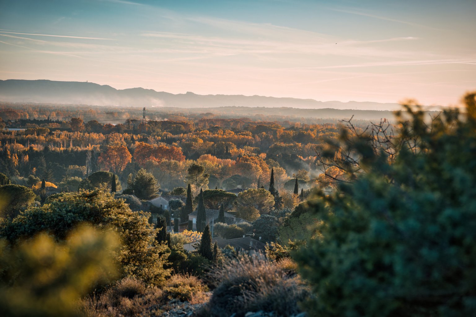 Appareil : X-T5 Focale : 55mm Ouverture : f/5.6 Vitesse : 1/1300sec ISO : ISO-500