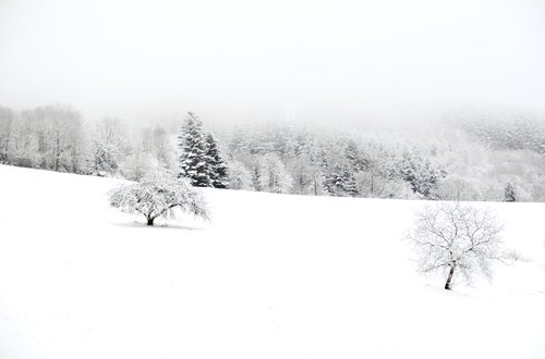 Appareil : X-T5 Focale : 55mm Ouverture : f/4 Vitesse : 1/200sec ISO : ISO-125