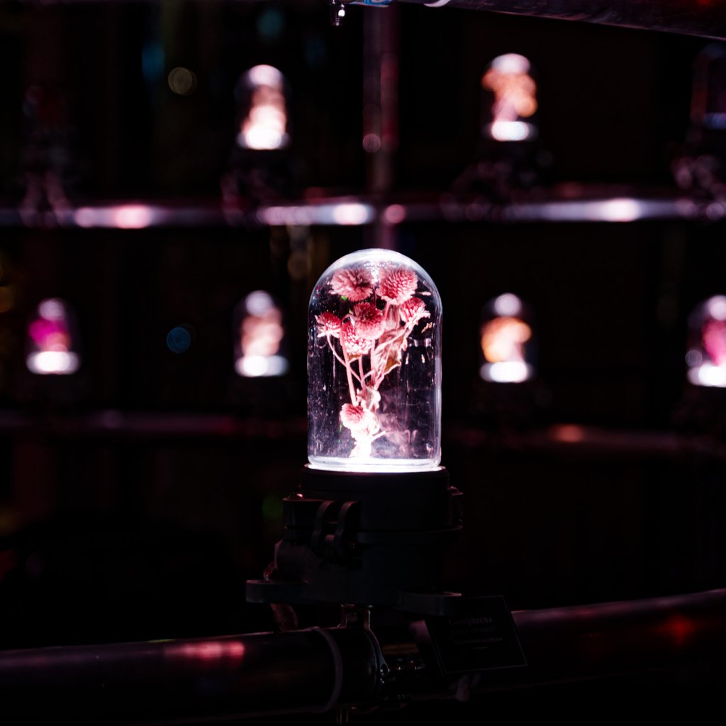 Appareil : X-T5 Focale : 55mm Ouverture : f/2.8 Vitesse : 1/30sec ISO : ISO-200
