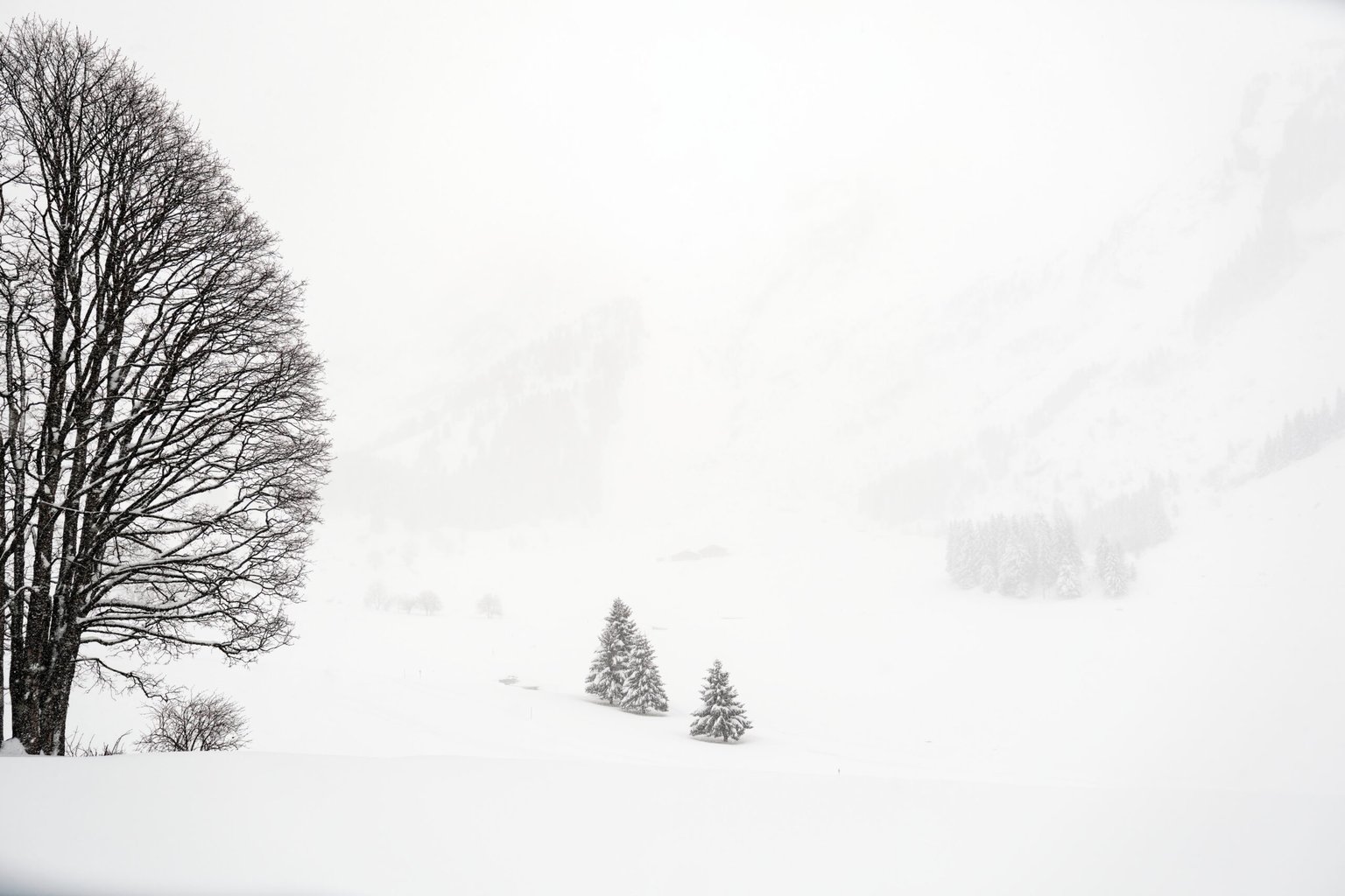 Appareil : X-T5 Focale : 16mm Ouverture : f/2.8 Vitesse : 1/500sec ISO : ISO-125