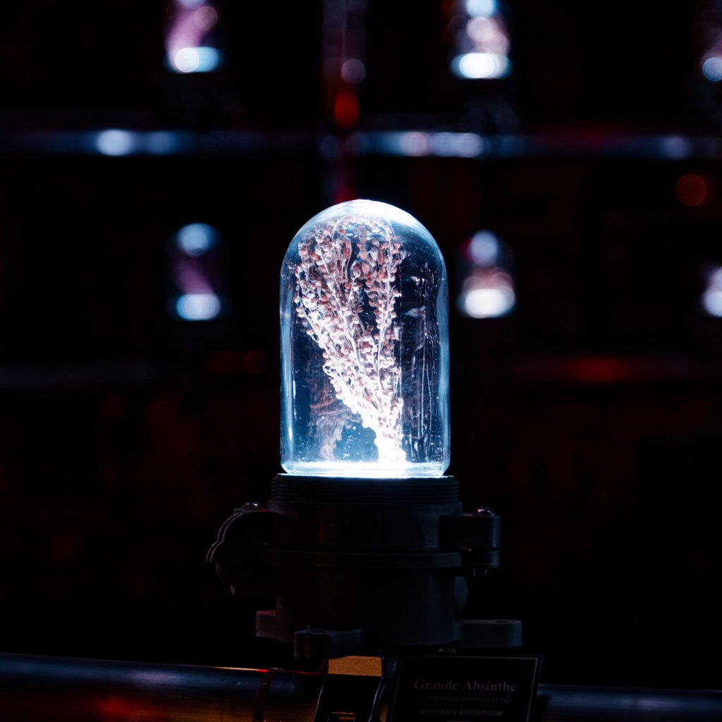 Appareil : X-T5 Focale : 55mm Ouverture : f/2.8 Vitesse : 1/30sec ISO : ISO-125