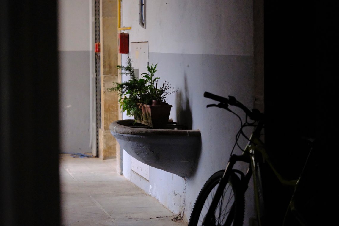 Appareil : X-T5 Focale : 80mm Ouverture : f/2.8 Vitesse : 1/250sec ISO : ISO-12800