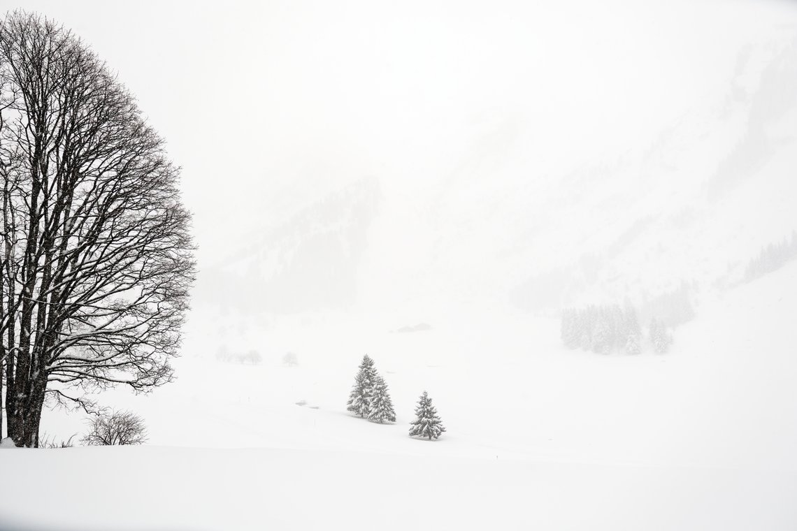 Appareil : X-T5 Focale : 16mm Ouverture : f/2.8 Vitesse : 1/500sec ISO : ISO-125
