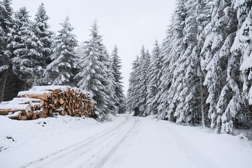 Appareil : X-T5 Focale : 16mm Ouverture : f/2.8 Vitesse : 1/850sec ISO : ISO-500