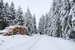 Appareil : X-T5 Focale : 16mm Ouverture : f/2.8 Vitesse : 1/850sec ISO : ISO-500
