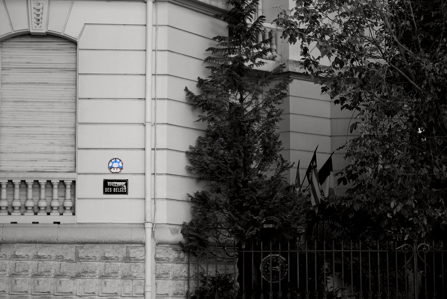 Appareil : X-T5 Focale : 55mm Ouverture : f/2.8 Vitesse : 1/180sec ISO : ISO-125