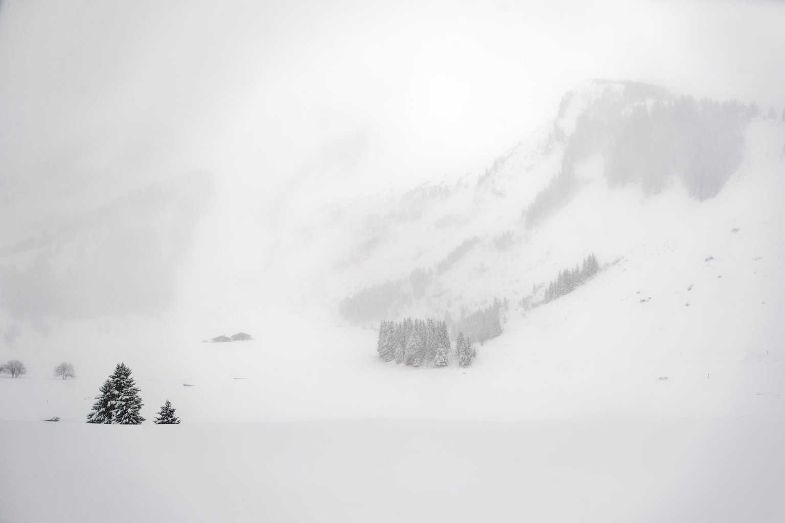 Appareil : X-T5 Focale : 16mm Ouverture : f/2.8 Vitesse : 1/640sec ISO : ISO-125