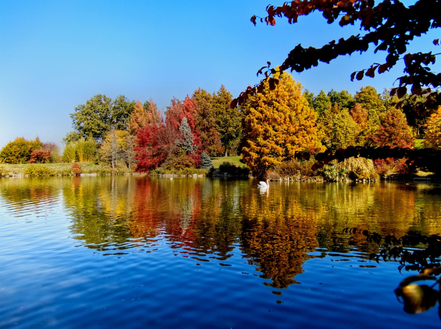Appareil : E-M1X Focale : 14mm Ouverture : f/3.5 Vitesse : 1/2000sec ISO : ISO-200