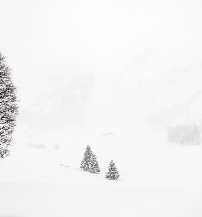 Appareil : X-T5 Focale : 16mm Ouverture : f/2.8 Vitesse : 1/500sec ISO : ISO-125