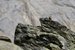 7090296-scaled