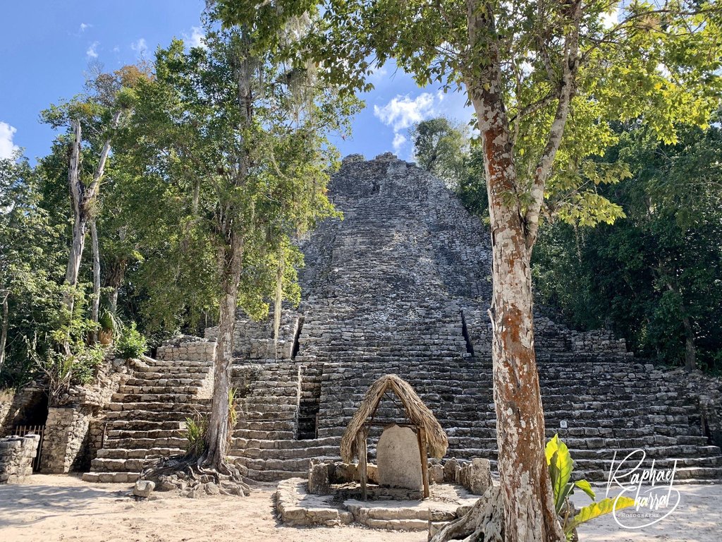 2 3