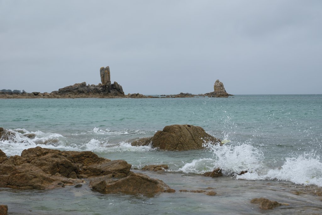 DSF0222
