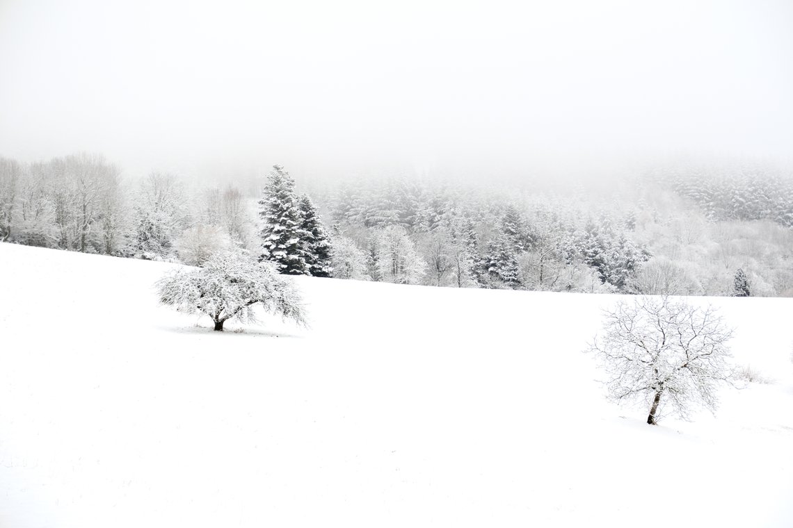 Appareil : X-T5 Focale : 55mm Ouverture : f/4 Vitesse : 1/200sec ISO : ISO-125