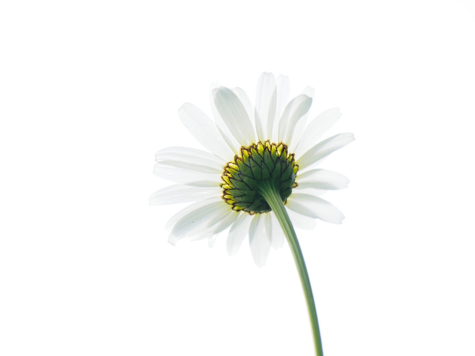 Appareil : E-M1X Focale : 275mm Ouverture : f/6.3 Vitesse : 1/500sec ISO : ISO-640