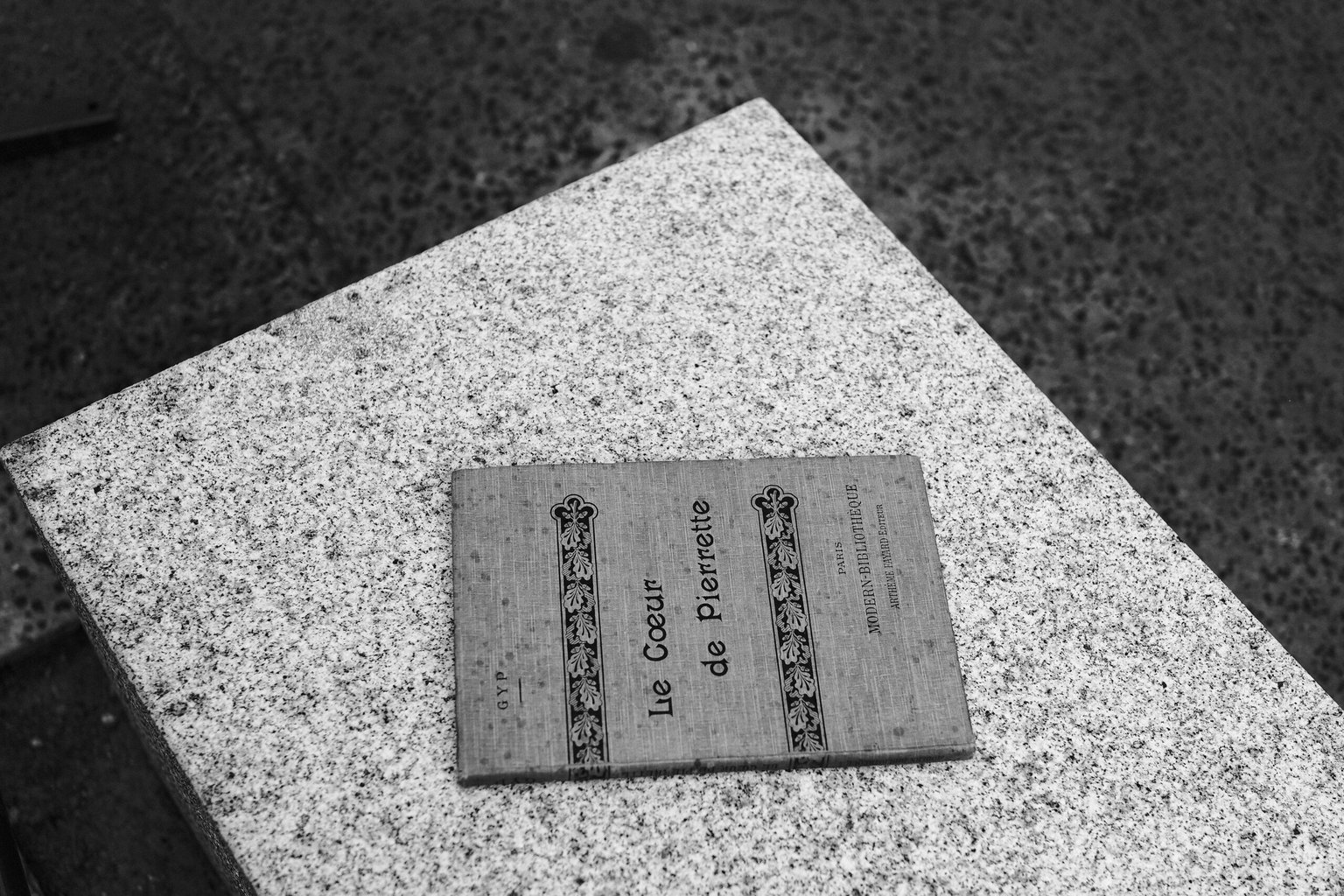 Appareil : X-T5 Focale : 23mm Ouverture : f/2 Vitesse : 1/2700sec ISO : ISO-250