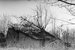 100303250004-scaled