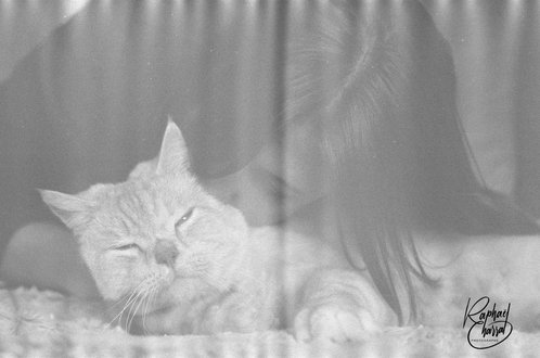 100308680017-scaled