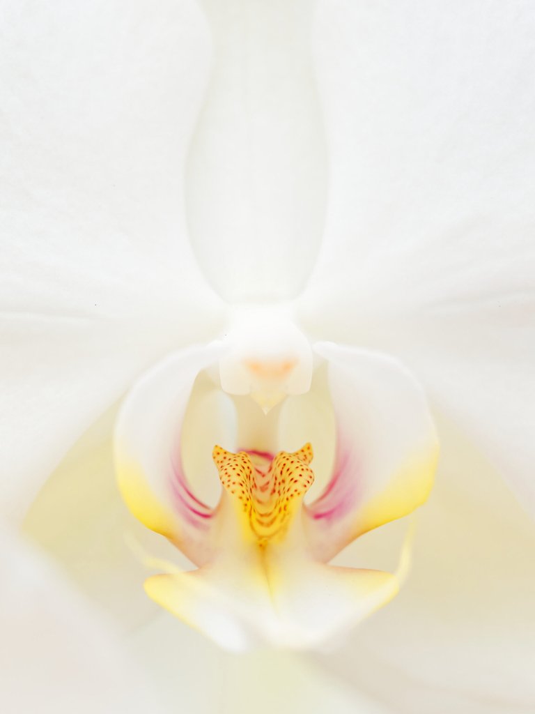 Appareil : E-M1X Focale : 150mm Ouverture : f/2.8 Vitesse : 1/1000sec ISO : ISO-200
