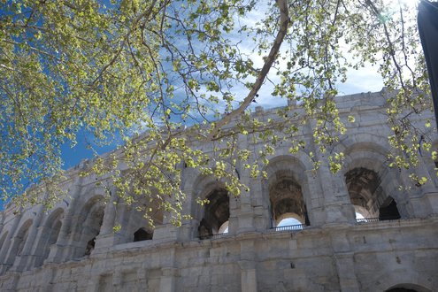 Appareil : X-T5 Focale : 17mm Ouverture : f/2.8 Vitesse : 1/1400sec ISO : ISO-125