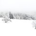 Appareil : X-T5 Focale : 55mm Ouverture : f/4 Vitesse : 1/200sec ISO : ISO-125